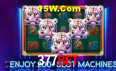 Apostas Esportivas na 377Bet: Um Guia Completo
